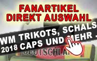 Trikots, Caps,  Schals, Flaggen und Wimpel für deine Fan-Party bei Dir zu hause.